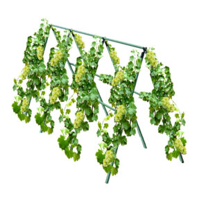 SOGA 120X90cm Plant Frame Tube Trellis Vegetable Flower Herbs Outdoor Vine Support Adjustable Garden Rack Garden Decor PlantTube2M AU DEPOT Garden Decor - AU DEPOT