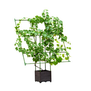 SOGA 160cm Rectangular Inclined Plant Frame Tube Pergola Trellis Vegetable Flower Herbs Outdoor Vine Support Garden Rack Garden Decor PlantTube5P AU DEPOT Garden Decor - AU DEPOT