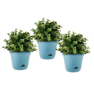 SOGA 19.5 cm Blue Plastic Plant Pot Self Watering Planter Flower Bonsai Indoor Outdoor Garden Decor Set of 3 PotBlue3V AU DEPOT - AU DEPOT