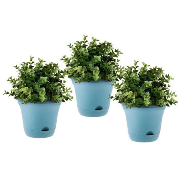 SOGA 19.5 cm Blue Plastic Plant Pot Self Watering Planter Flower Bonsai Indoor Outdoor Garden Decor Set of 3, Home & Living, Home Decor, Indoor Pots, Planters and Plant Stands, , ,  - AU DEPOT 1