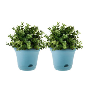 SOGA 19.5 cm Blue Plastic Plant Pot Self Watering Planter Flower Bonsai Outdoor Garden Decor Set of 2 PotBlue2V AU DEPOT - AU DEPOT