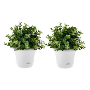 SOGA 19.5 cm White Plastic Plant Pot Self Watering Planter Flower Bonsai Indoor Outdoor Garden Decor Set of 2 PotBlue2Q AU DEPOT - AU DEPOT