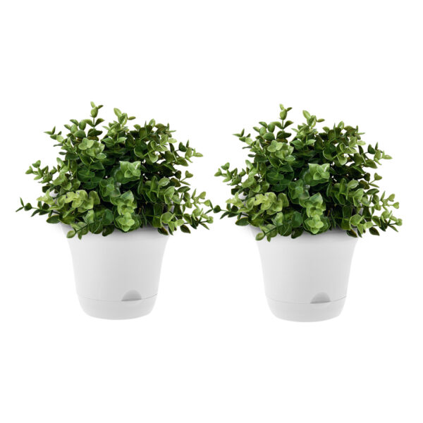 SOGA 19.5 cm White Plastic Plant Pot Self Watering Planter Flower Bonsai Indoor Outdoor Garden Decor Set of 2, Home & Living, Home Decor, Indoor Pots, Planters and Plant Stands, , ,  - AU DEPOT 1