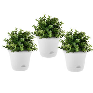 SOGA 19.5 cm White Plastic Plant Pot Self Watering Planter Flower Bonsai Indoor Outdoor Garden Decor Set of 3 PotBlue3Q AU DEPOT - AU DEPOT