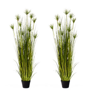 SOGA 2X 150cm Cyperus Papyrus Plant Tree Artificial Green Grass Home Or Office Indoor Greenery Accent APlantFH60142X2 AU DEPOT - AU DEPOT