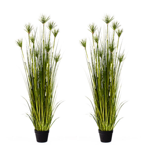 SOGA 2X 150cm Cyperus Papyrus Plant Tree Artificial Green Grass, Home Or Office Indoor Greenery Accent, Home & Living, Home Decor, Artificial Plants, , ,  - AU DEPOT 1