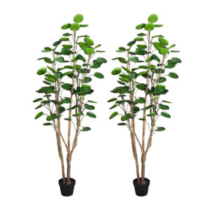 SOGA 2X 150cm Plastic Potted Polyscias Scutellaria Plant Home Garden Artificial Tree Home Decor APlantFHJQD150102X2 AU DEPOT - AU DEPOT