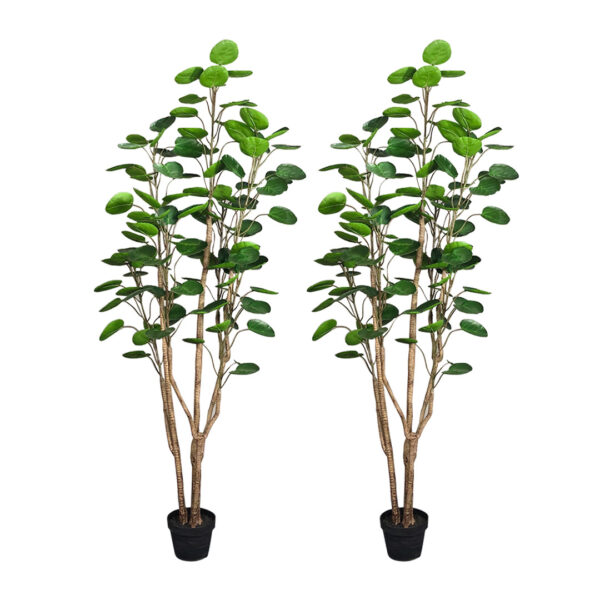 SOGA 2X 150cm Plastic Potted Polyscias Scutellaria Plant Home Garden Artificial Tree, Home Decor, Home & Living, Home Decor, Artificial Plants, , ,  - AU DEPOT 1