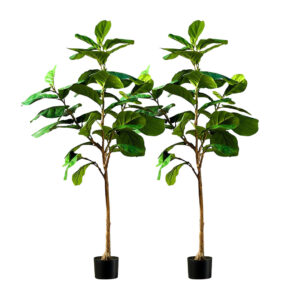 SOGA 2X 155cm Green Artificial Indoor Qin Yerong Tree Fake Plant Simulation Decorative APlantFH15536X2 AU DEPOT - AU DEPOT