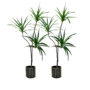 SOGA 2X 180cm Green Artificial Indoor Brazlian Iron Tree Fake Plant Decorative 3 Heads APlantFHBS18090X2 AU DEPOT - AU DEPOT