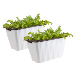 SOGA 2X 35cm Small White Rectangular Flowerpot Vegetable Herb Flower Outdoor Plastic Box Garden Decor PlantBox4K AU DEPOT - AU DEPOT