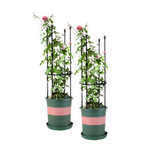 SOGA 2X 73cm 4 Bar Plant Frame Stand Trellis Vegetable Flower Herbs Outdoor Vine Support Garden Rack with Rings Garden Decor PlantTube73X2 AU DEPOT Garden Decor - AU DEPOT