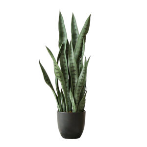 SOGA 2X 97cm Sansevieria Snake Artificial Plants with Black Plastic Planter Greenery, Home Office Decor, Home & Living, Home Decor, Artificial Plants, , ,  - AU DEPOT 2