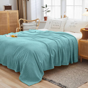 SOGA 2X Sky Blue Throw Blanket Warm Cozy Striped Pattern Thin Flannel Coverlet Fleece Bed Sofa Comforter, Home, Bed Linen, Throws And Blankets, Blankets, ,  - AU DEPOT 2