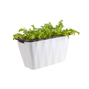 SOGA 35cm Small White Rectangular Flowerpot Vegetable Herb Flower Outdoor Plastic Box Garden Decor PlantBox3K AU DEPOT - AU DEPOT