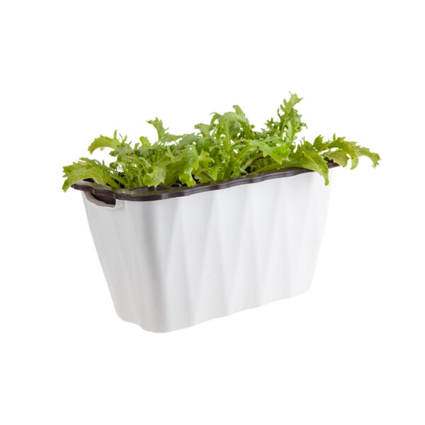 SOGA 35cm Small White Rectangular Flowerpot Vegetable Herb Flower Outdoor Plastic Box Garden Decor, Home & Living, Home Decor, Indoor Pots, Planters and Plant Stands, , ,  - AU DEPOT 1