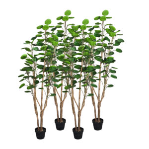 SOGA 4X 180cm Plastic Potted Polyscias Scutellaria Plant Home Garden Artificial Tree Home Decor APlantFHJQD18080X4 AU DEPOT - AU DEPOT