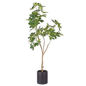 SOGA 160cm Artificial Natural Green Schefflera Dwarf Umbrella Tree Fake Tropical Indoor Plant Home Office Decor APlantQXY160 AU DEPOT - AU DEPOT