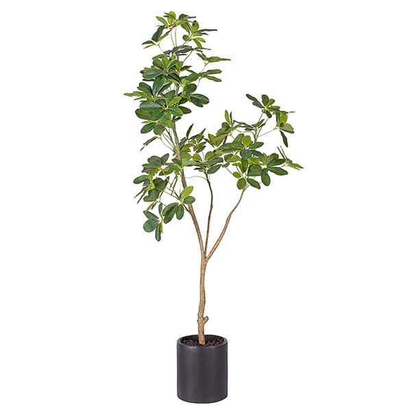 SOGA 160cm Artificial Natural Green Schefflera Dwarf Umbrella Tree Fake Tropical Indoor Plant Home Office Decor, Home & Living, Home Decor, Artificial Plants, , ,  - AU DEPOT 1