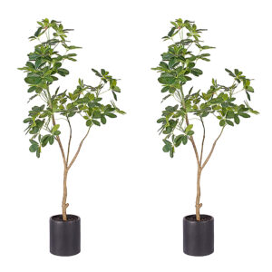 SOGA 2X 160cm Artificial Natural Green Schefflera Dwarf Umbrella Tree Fake Tropical Indoor Plant Home Office Decor APlantQXY160X2 AU DEPOT - AU DEPOT