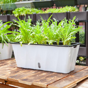 Buy SOGA 2X Large White Rectangular Flowerpot Vegetable Herb Flower Outdoor Plastic Box Garden Decor Online - Home & Living - 2 - AU Depot Free Shipping