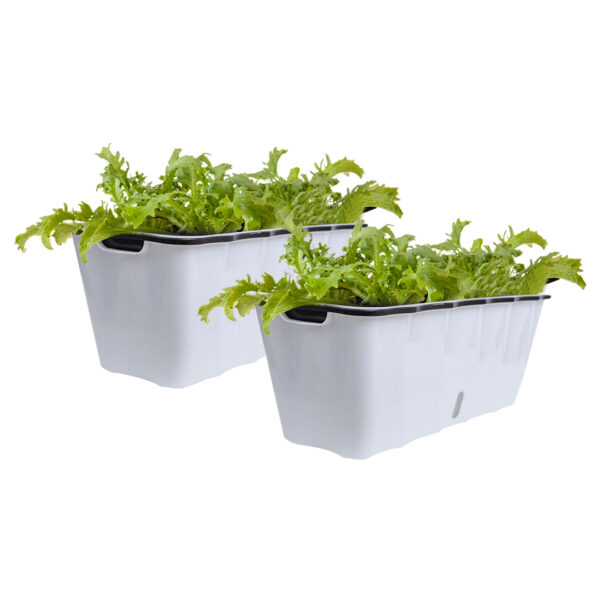 SOGA 2X Large White Rectangular Flowerpot Vegetable Herb Flower Outdoor Plastic Box Garden Decor, Garden, Tools & Hardware, Gardening & Lawn Care, Pots, Planters & Container Accessories, , ,  - AU DEPOT 1