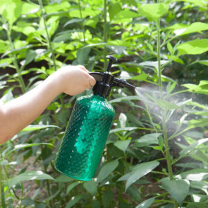 Buy SOGA 4X 2 Liter Mist Water Spray Bottle Hand Held Pressure Adjustable Nozzle with Top Pump Indoor Outdoor Gardening Online - Garden, Tools & Hardware - 2 - AU Depot Free Shipping
