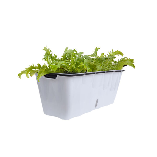 SOGA 50cm Large White Rectangular Flowerpot Vegetable Herb Flower Outdoor Plastic Box Garden Decor, Garden, Tools & Hardware, Gardening & Lawn Care, Pots, Planters & Container Accessories, , ,  - AU DEPOT 1