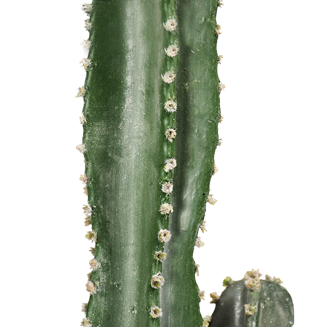 SOGA 105cm Green Artificial Indoor Cactus Tree Fake Plant Simulation Decorative 6 Heads - APlantFLT1056 - Home & Living - 3 - AU DEPOT SOGA Buy SOGA 105cm Green Artificial Indoor Cactus Tree Fake Plant Simulation Decorative 6 Heads Online - Home & Living - 3 - AU Depot Free Shipping