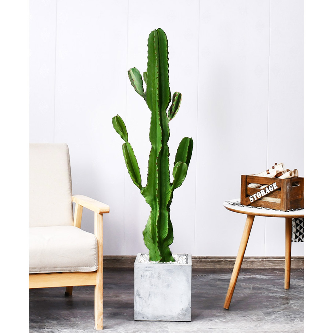 SOGA 105cm Green Artificial Indoor Cactus Tree Fake Plant Simulation Decorative 6 Heads - APlantFLT1056 - Home & Living - 5 - AU DEPOT SOGA Buy SOGA 105cm Green Artificial Indoor Cactus Tree Fake Plant Simulation Decorative 6 Heads Online - Home & Living - 5 - AU Depot Free Shipping