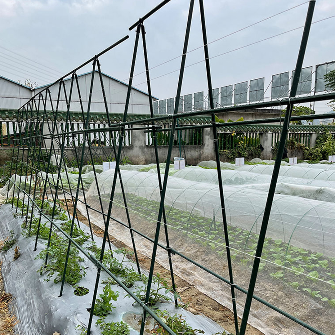 SOGA 120X90cm Plant Frame Tube Trellis Vegetable Flower Herbs Outdoor Vine Support Adjustable Garden Rack - PlantTube2M - Garden - 3 - AU DEPOT SOGA Buy SOGA 120X90cm Plant Frame Tube Trellis Vegetable Flower Herbs Outdoor Vine Support Adjustable Garden Rack Online - Garden - 3 - AU Depot Free Shipping