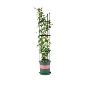 Buy SOGA 133cm 4-Bar Plant Frame Stand Trellis Vegetable Flower Herbs Outdoor Vine Support Garden Rack with Rings Online - Garden - 1 - AU Depot Free Shipping