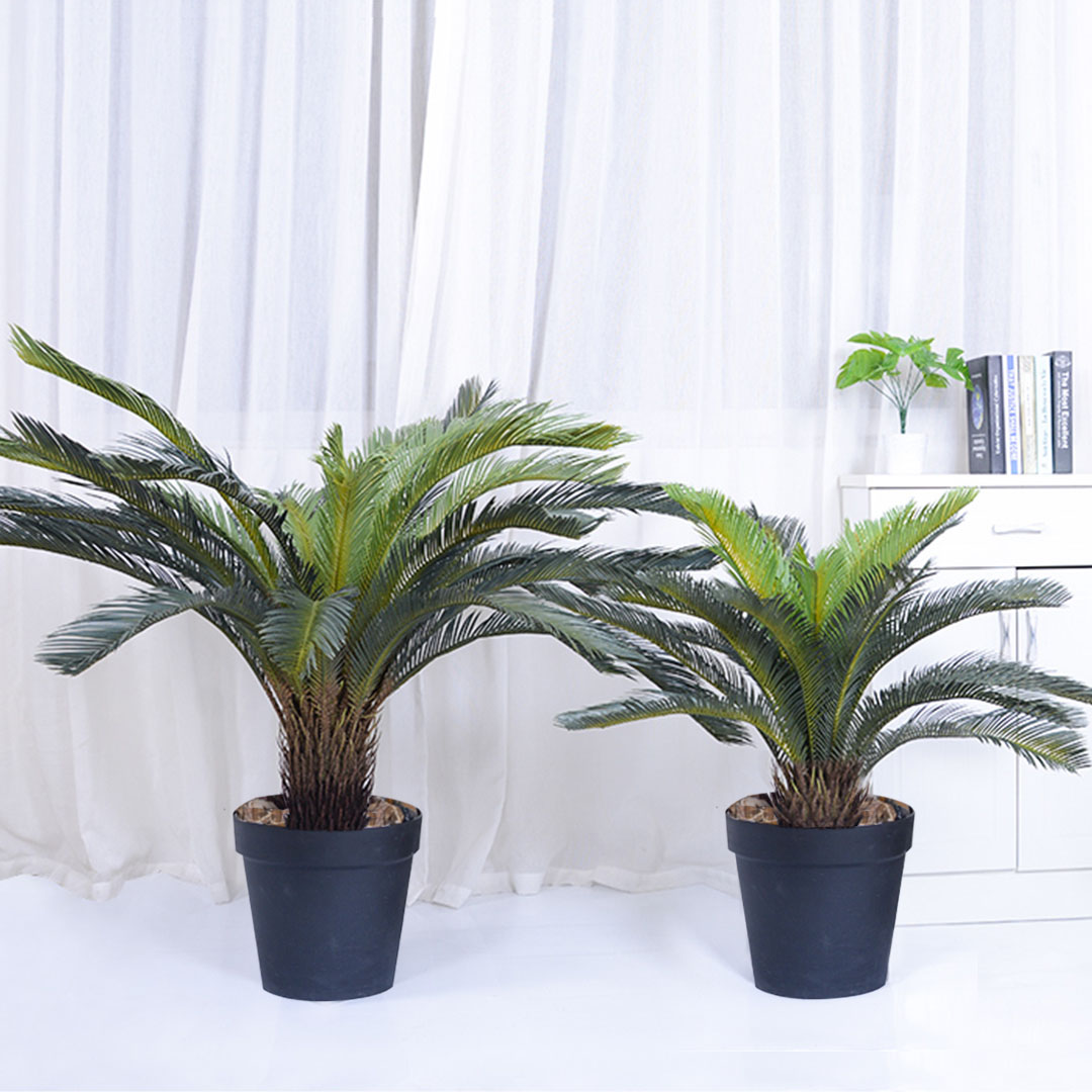 SOGA 155cm Artificial Indoor Cycas Revoluta Cycad Sago Palm Fake Decoration Tree Pot Plant - APlantFH107130A - Home & Living - 3 - AU DEPOT SOGA Buy SOGA 155cm Artificial Indoor Cycas Revoluta Cycad Sago Palm Fake Decoration Tree Pot Plant Online - Home & Living - 3 - AU Depot Free Shipping