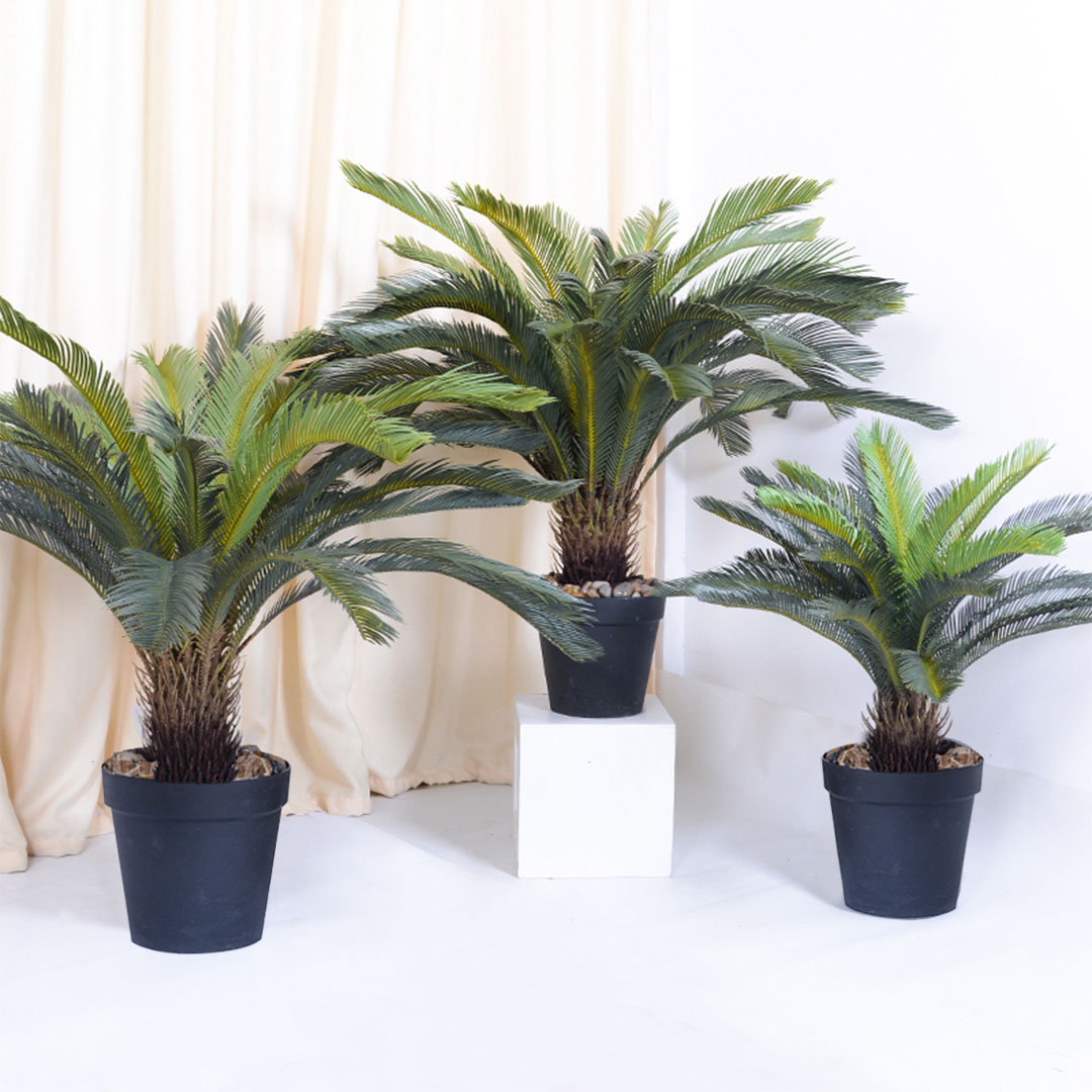 SOGA 155cm Artificial Indoor Cycas Revoluta Cycad Sago Palm Fake Decoration Tree Pot Plant - APlantFH107130A - Home & Living - 4 - AU DEPOT SOGA Buy SOGA 155cm Artificial Indoor Cycas Revoluta Cycad Sago Palm Fake Decoration Tree Pot Plant Online - Home & Living - 4 - AU Depot Free Shipping