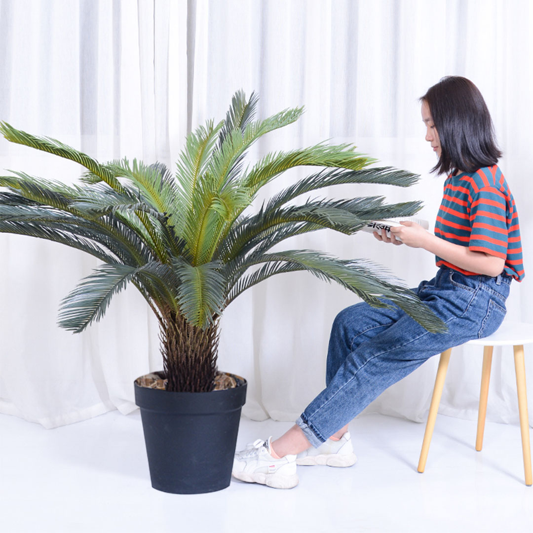 SOGA 155cm Artificial Indoor Cycas Revoluta Cycad Sago Palm Fake Decoration Tree Pot Plant - APlantFH107130A - Home & Living - 5 - AU DEPOT SOGA Buy SOGA 155cm Artificial Indoor Cycas Revoluta Cycad Sago Palm Fake Decoration Tree Pot Plant Online - Home & Living - 5 - AU Depot Free Shipping