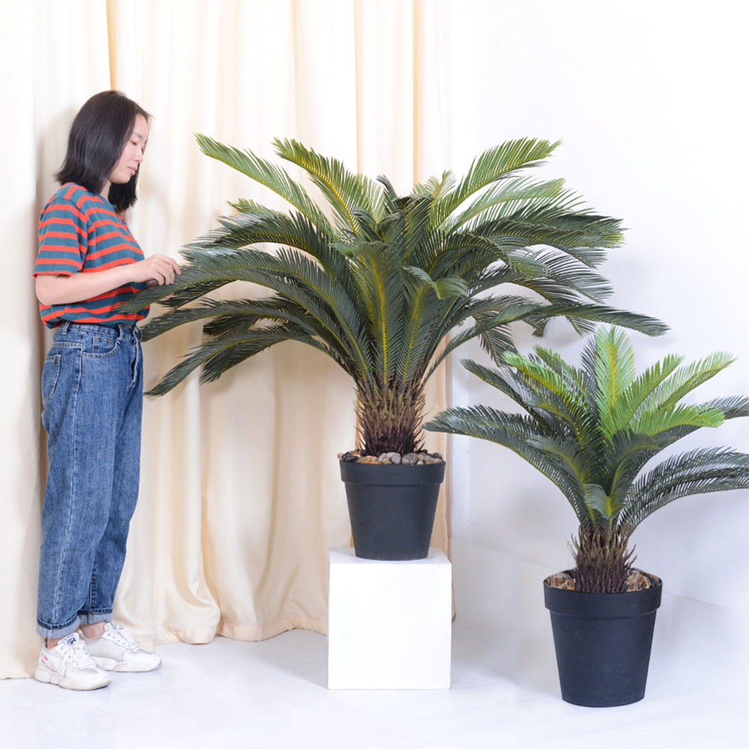 SOGA 155cm Artificial Indoor Cycas Revoluta Cycad Sago Palm Fake Decoration Tree Pot Plant - APlantFH107130A - Home & Living - 6 - AU DEPOT SOGA Buy SOGA 155cm Artificial Indoor Cycas Revoluta Cycad Sago Palm Fake Decoration Tree Pot Plant Online - Home & Living - 6 - AU Depot Free Shipping