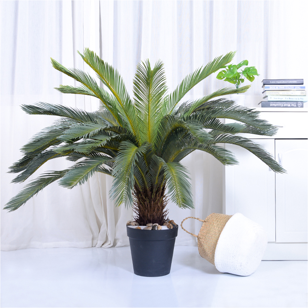 SOGA 155cm Artificial Indoor Cycas Revoluta Cycad Sago Palm Fake Decoration Tree Pot Plant - APlantFH107130A - Home & Living - 8 - AU DEPOT SOGA Buy SOGA 155cm Artificial Indoor Cycas Revoluta Cycad Sago Palm Fake Decoration Tree Pot Plant Online - Home & Living - 8 - AU Depot Free Shipping