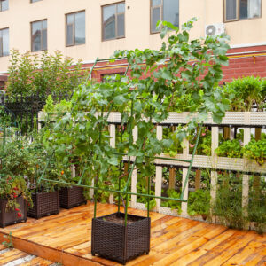 Buy SOGA 160cm Rectangular Inclined Plant Frame Tube Pergola Trellis Vegetable Flower Herbs Outdoor Vine Support Garden Rack Online - Garden - 2 - AU Depot Free Shipping