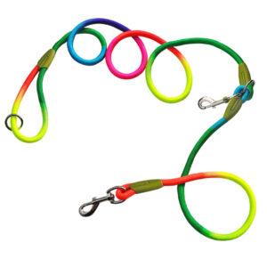 Buy SOGA 220cm Multifunction Hands-Free Rope Pet Cat Dog Puppy Double Ended Leash for Walking Training Tracking Obedience Rainbow Online - Pets - 1 - AU Depot Free Shipping