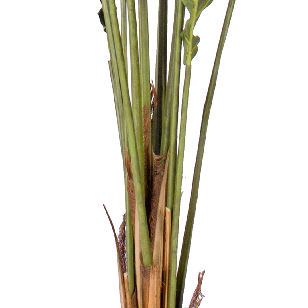 SOGA 2X 120cm Green Artificial Indoor Rogue Areca Palm Tree Fake Tropical Plant Home Office Decor - APlant1206SAX2 - Home & Living - 7 - AU DEPOT SOGA Buy SOGA 2X 120cm Green Artificial Indoor Rogue Areca Palm Tree Fake Tropical Plant Home Office Decor Online - Home & Living - 7 - AU Depot Free Shipping