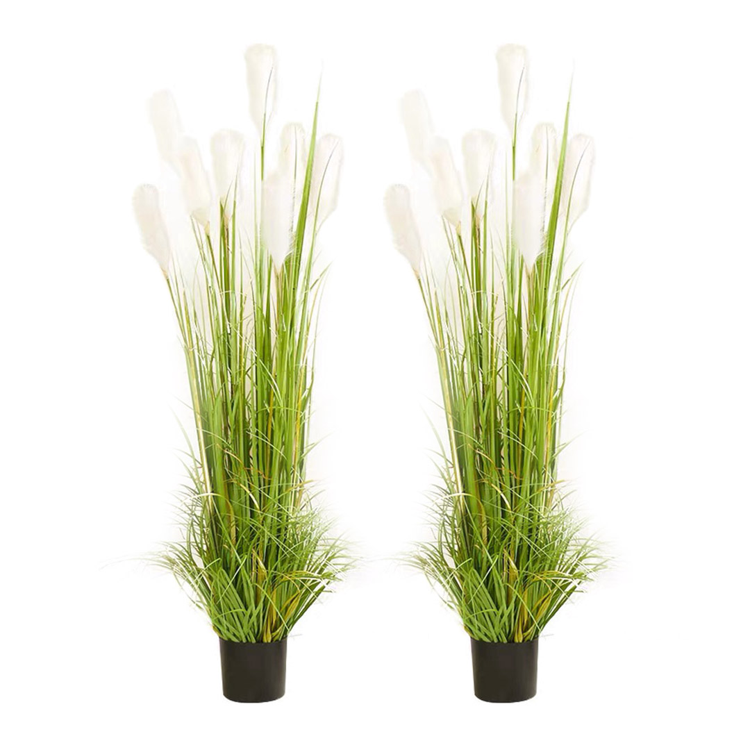 SOGA 2X 120cm Nearly Natural Plume Grass Artificial Plant - - APlantFH6004X2 1 SOGA 2X 120cm Nearly Natural Plume Grass Artificial Plant - AU DEPOT Buy SOGA 2X 120cm Nearly Natural Plume Grass Artificial Plant Online - Home & Living - 1 - AU Depot Free Shipping