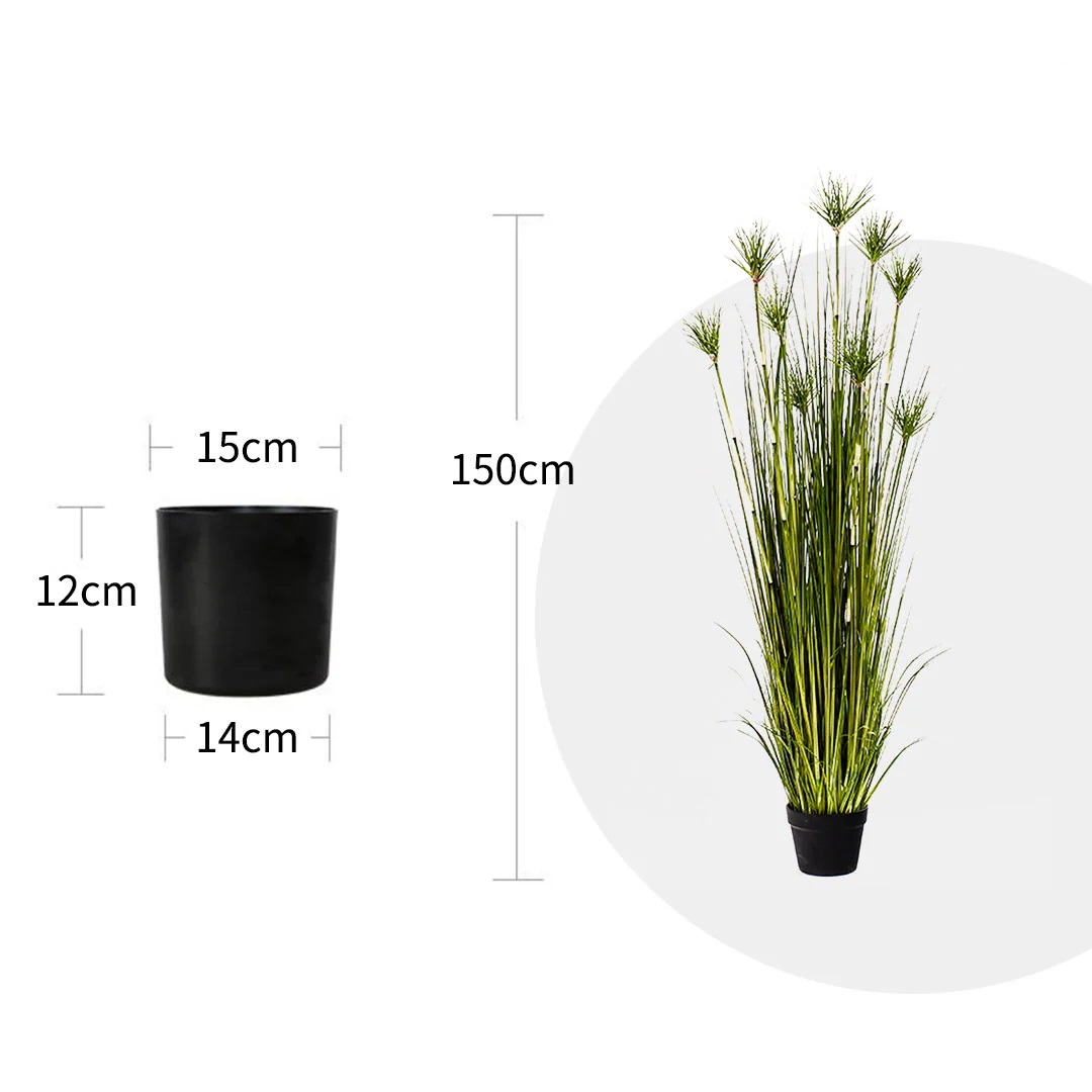 SOGA 2X 150cm Cyperus Papyrus Plant Tree Artificial Green Grass, Home Or Office Indoor Greenery Accent - APlantFH60142X2 - Home & Living - 2 - AU DEPOT SOGA Buy SOGA 2X 150cm Cyperus Papyrus Plant Tree Artificial Green Grass, Home Or Office Indoor Greenery Accent Online - Home & Living - 2 - AU Depot Free Shipping