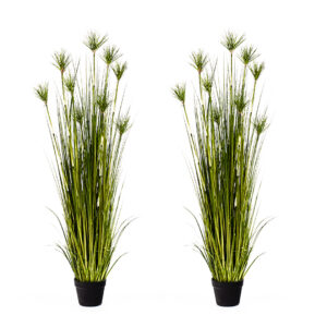 Buy SOGA 2X 150cm Cyperus Papyrus Plant Tree Artificial Green Grass, Home Or Office Indoor Greenery Accent Online - Home & Living - 1 - AU Depot Free Shipping