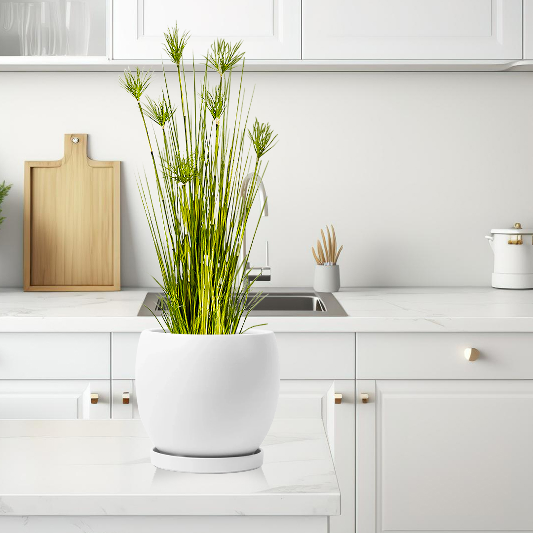 SOGA 2X 150cm Cyperus Papyrus Plant Tree Artificial Green Grass, Home Or Office Indoor Greenery Accent - APlantFH60142X2 - Home & Living - 6 - AU DEPOT SOGA Buy SOGA 2X 150cm Cyperus Papyrus Plant Tree Artificial Green Grass, Home Or Office Indoor Greenery Accent Online - Home & Living - 6 - AU Depot Free Shipping
