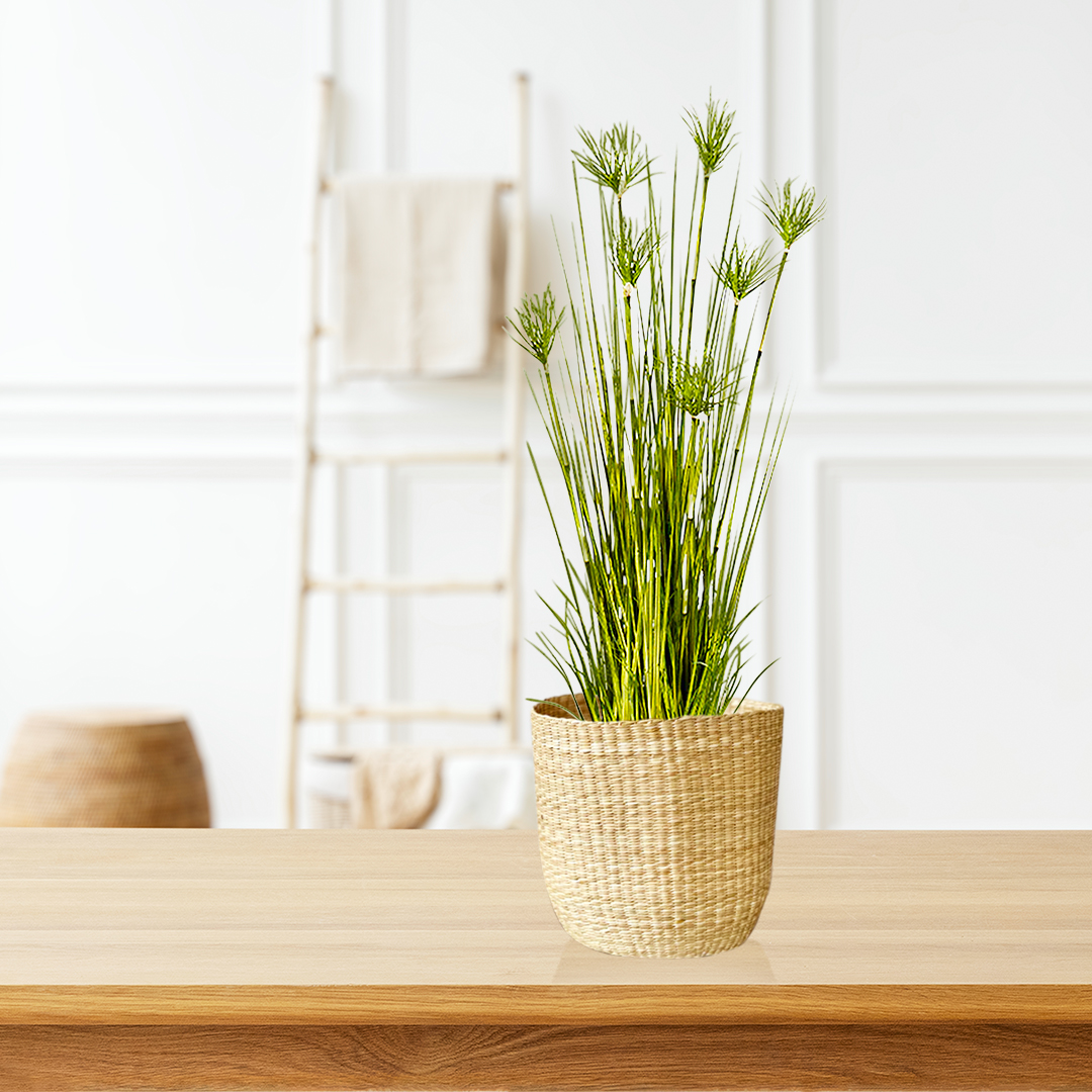 SOGA 2X 150cm Cyperus Papyrus Plant Tree Artificial Green Grass, Home Or Office Indoor Greenery Accent - APlantFH60142X2 - Home & Living - 7 - AU DEPOT SOGA Buy SOGA 2X 150cm Cyperus Papyrus Plant Tree Artificial Green Grass, Home Or Office Indoor Greenery Accent Online - Home & Living - 7 - AU Depot Free Shipping