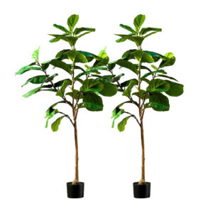 Buy SOGA 2X 155cm Green Artificial Indoor Qin Yerong Tree Fake Plant Simulation Decorative Online - Home & Living - 1 - AU Depot Free Shipping