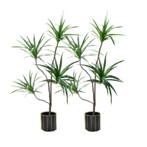 Buy SOGA 2X 180cm Realistic Artificial Dracaena, Rubberised Silk Cloth + Iron Wire, Home Decor Online - Home & Living - 1 - AU Depot Free Shipping