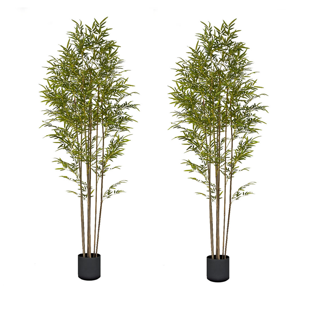SOGA 2X 240cm Lucky Bamboo Tree Bambusa Vulgaris Artificial Plant w/ 7 Branches Home Accent Decor - - APlantFHZ24X2 1 SOGA 2X 240cm Lucky Bamboo Tree Bambusa Vulgaris Artificial Plant w/ 7 Branches Home Accent Decor - AU DEPOT Buy SOGA 2X 240cm Lucky Bamboo Tree Bambusa Vulgaris Artificial Plant w/ 7 Branches Home Accent Decor Online - Home & Living - 1 - AU Depot Free Shipping