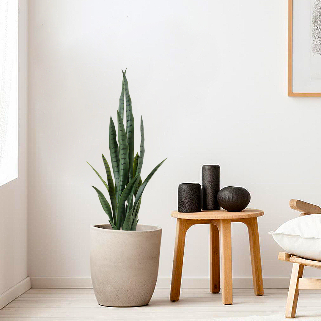 SOGA 2X 95cm Sansevieria Snake Artificial Plants with Black Plastic Planter Greenery, Home Office Decor - APlantFH9510X2 - Home & Living - 7 - AU DEPOT SOGA Buy SOGA 2X 95cm Sansevieria Snake Artificial Plants with Black Plastic Planter Greenery, Home Office Decor Online - Home & Living - 7 - AU Depot Free Shipping