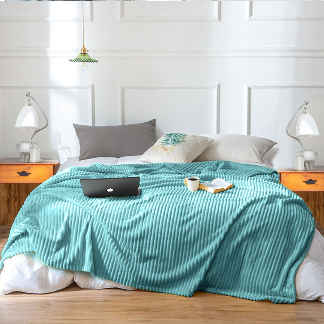 SOGA 2X Sky Blue Throw Blanket Warm Cozy Striped Pattern Thin Flannel Coverlet Fleece Bed Sofa Comforter - Blanket315X2 - Home - 3 - AU DEPOT SOGA Buy SOGA 2X Sky Blue Throw Blanket Warm Cozy Striped Pattern Thin Flannel Coverlet Fleece Bed Sofa Comforter Online - Home - 3 - AU Depot Free Shipping